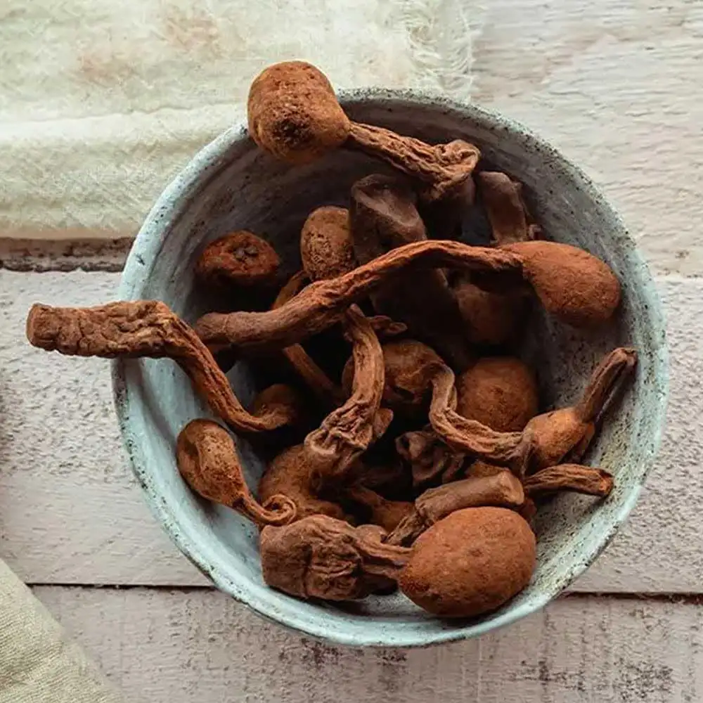 Black Maca Root and Huanarpo Macho Capsules l 100% Natural Energizer and Booster l Immune Support for Men (1500mg per Serving) l Male Health supplenent l Amazon Andes - Imagen 6